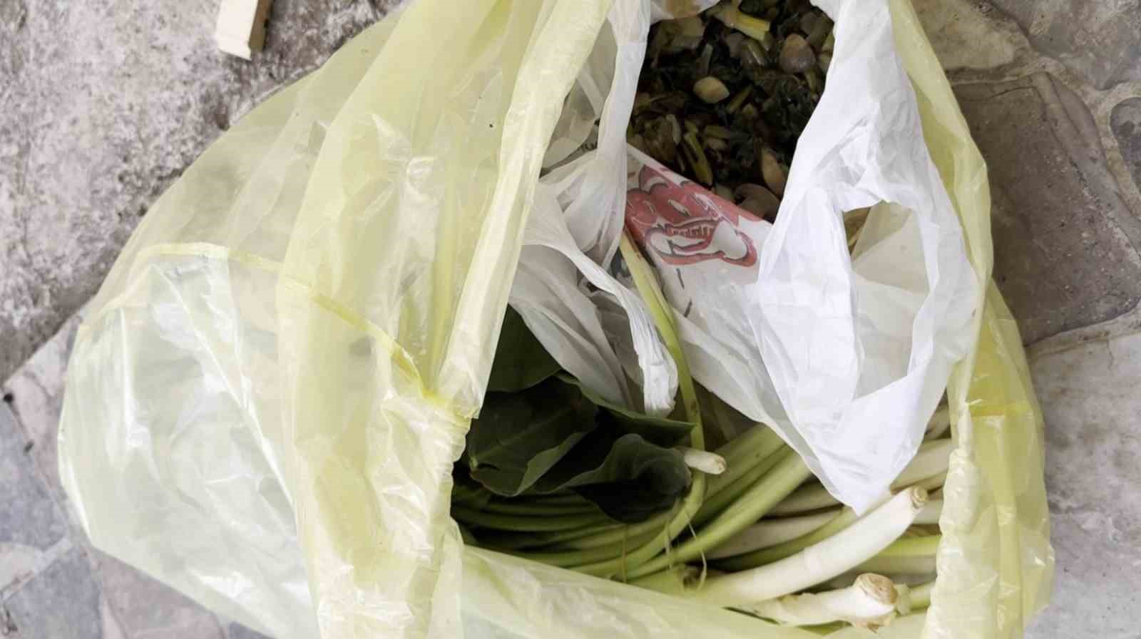 Mersin’de Doktor Çiftin Tehlikeli Anları: Pazardan Aldıkları Ot Zehirli Çıktı