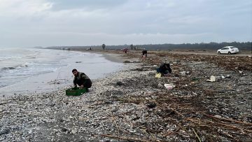 Mersin’de Fırtına Sonrası Sahile Vuran Kargı Midyeleri Balıkçılar Tarafından Toplandı