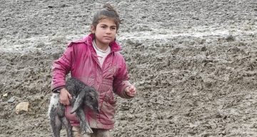 Minik Kahraman Zeynep, Yeni Doğan Kuzuyu Soğuktan Kurtardı