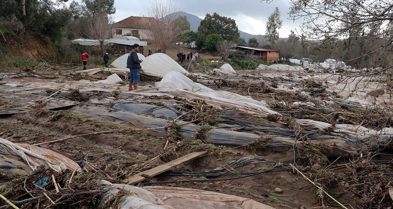 Muğla Köyceğiz’de Sel Felaketi: Seralar Sular Altında Kaldı
