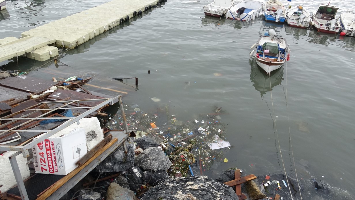 Pendik Sahillerinde Ciddi Çevre Kirliliği ve Kötü Koku Sorunu