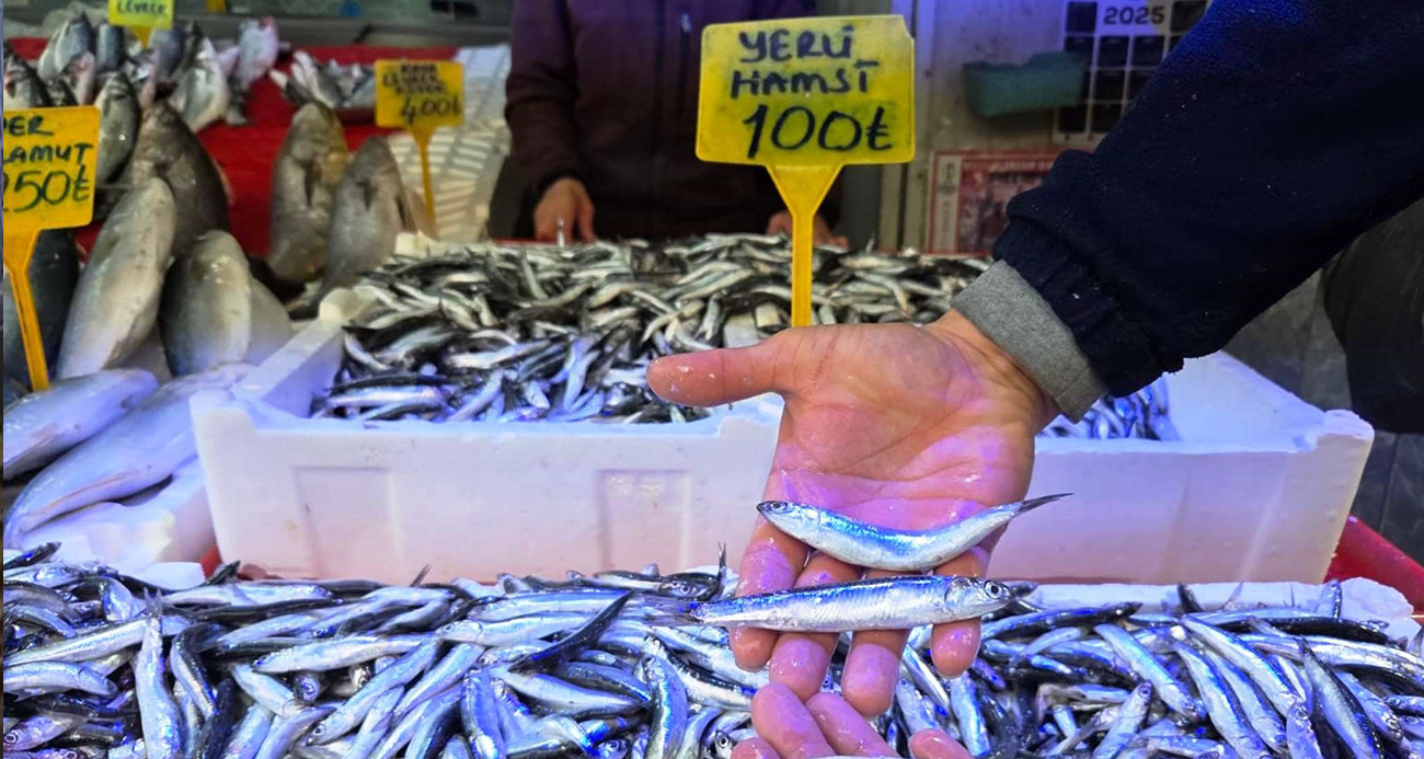 Ramazan Bereketi Karadeniz Hamsisine Yansıdı
