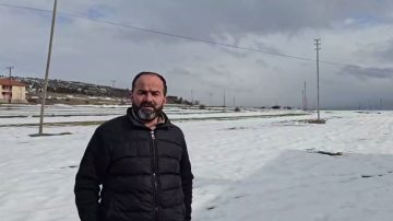 Sivas’ta Kış Koşullarında Aç Kalan Kurt Yerleşim Alanına İndi