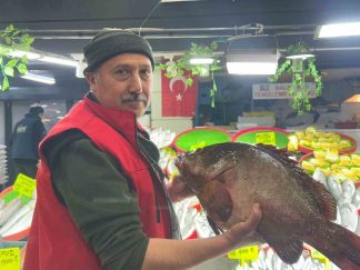 Sivas’ta Tezgahlarda Göz Kamaştıran Dev Orfoz Balığı