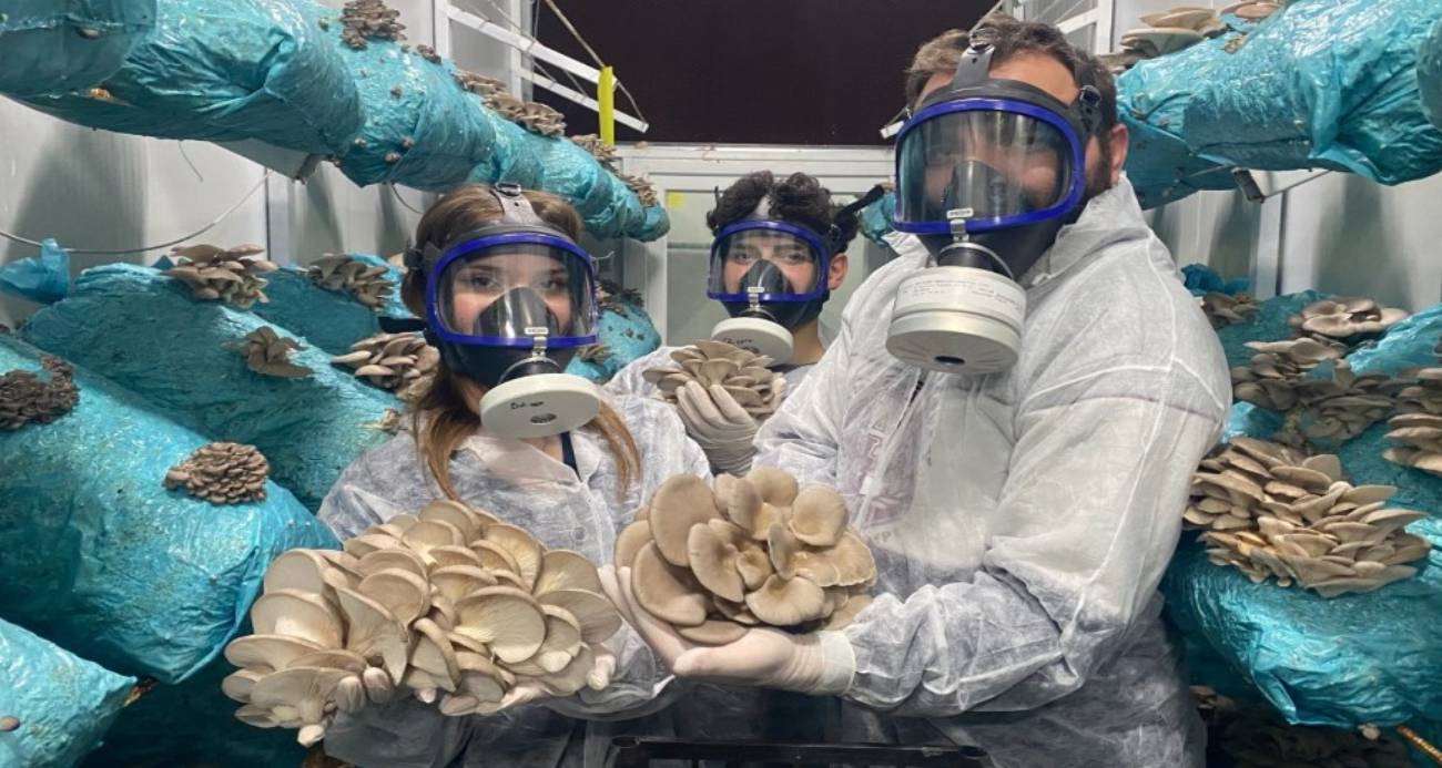 Avukatlık Mesleğinden Mantar Üreticiliğine: Salih Günaydın’ın Başarı Hikayesi