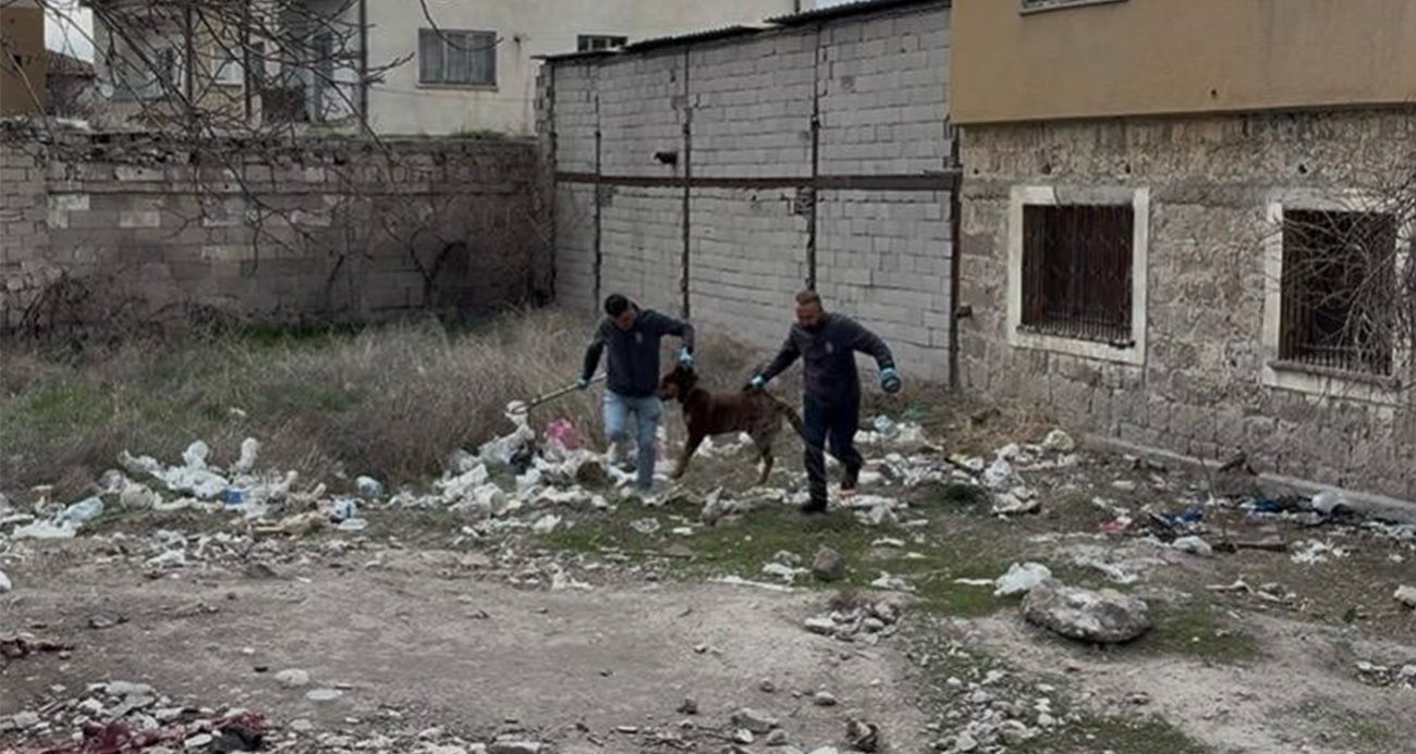 Başıboş Köpek Dehşeti: 3 Yaşında Bir Çocuk Ağır Yaralandı