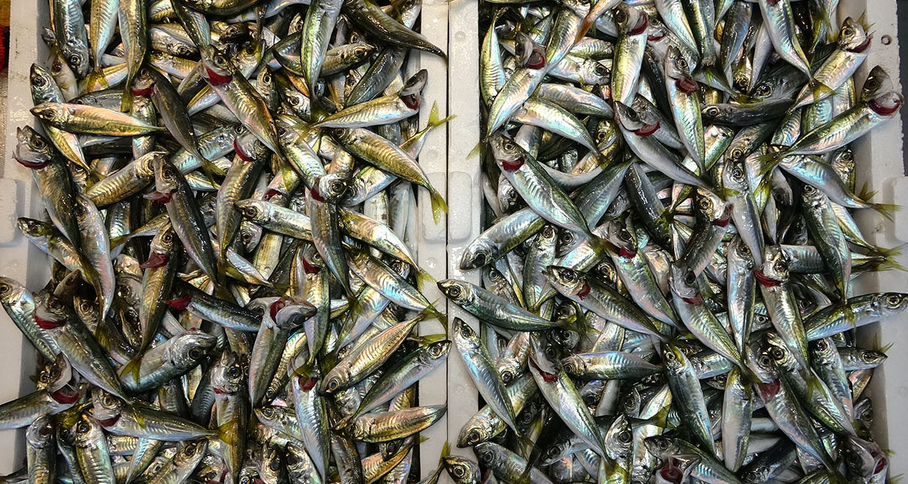 Bayram Arifesinde Balık Tezgahlarında Bereket