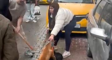 Çorlu’da Pitbull Saldırısı Gerilimi Artırdı: Sahibinin Tavrı Olayı Büyüttü