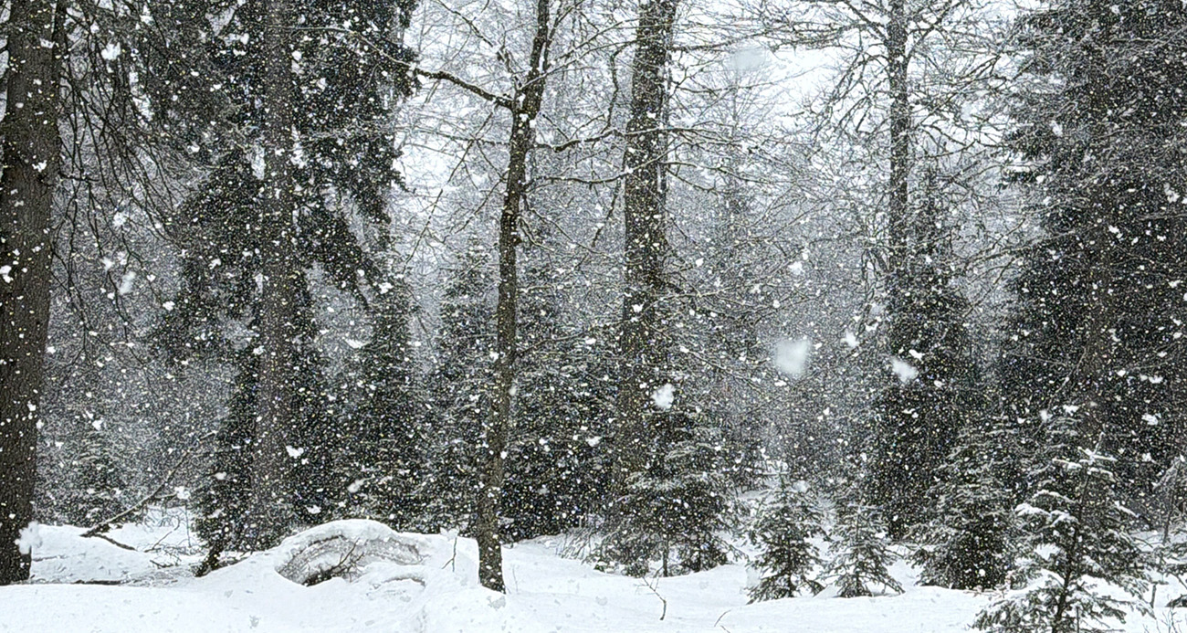 Düzce’nin Yüksek Kesimlerinde Kar Sevinci: Kar Kalınlığı 1 Metreyi Aştı