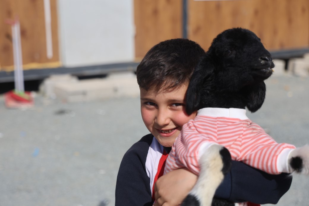 Hatay’da Yürekleri Isıtan Dostluk: ‘Boncuk’ İsimli Kuzu ve Küçük Sahibi