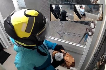 Londra’da Türk Ailesine Yönelik Kurye Kılığındaki Hırsızlık Girişimi Engellendi