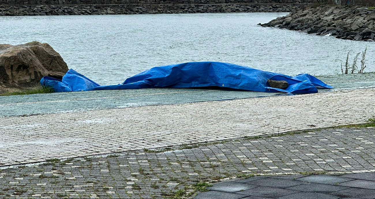 Ordu’nun Fatsa İlçesi Sahiline Bilinmeyen Bir Cisim Vurdu