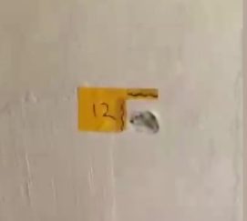 “Polisiz” Diyerek Eve Giren Saldırganlar Anne ile Oğlunu Yaraladı