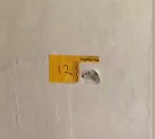 “Polisiz” Diyerek Eve Giren Saldırganlar Anne ile Oğlunu Yaraladı