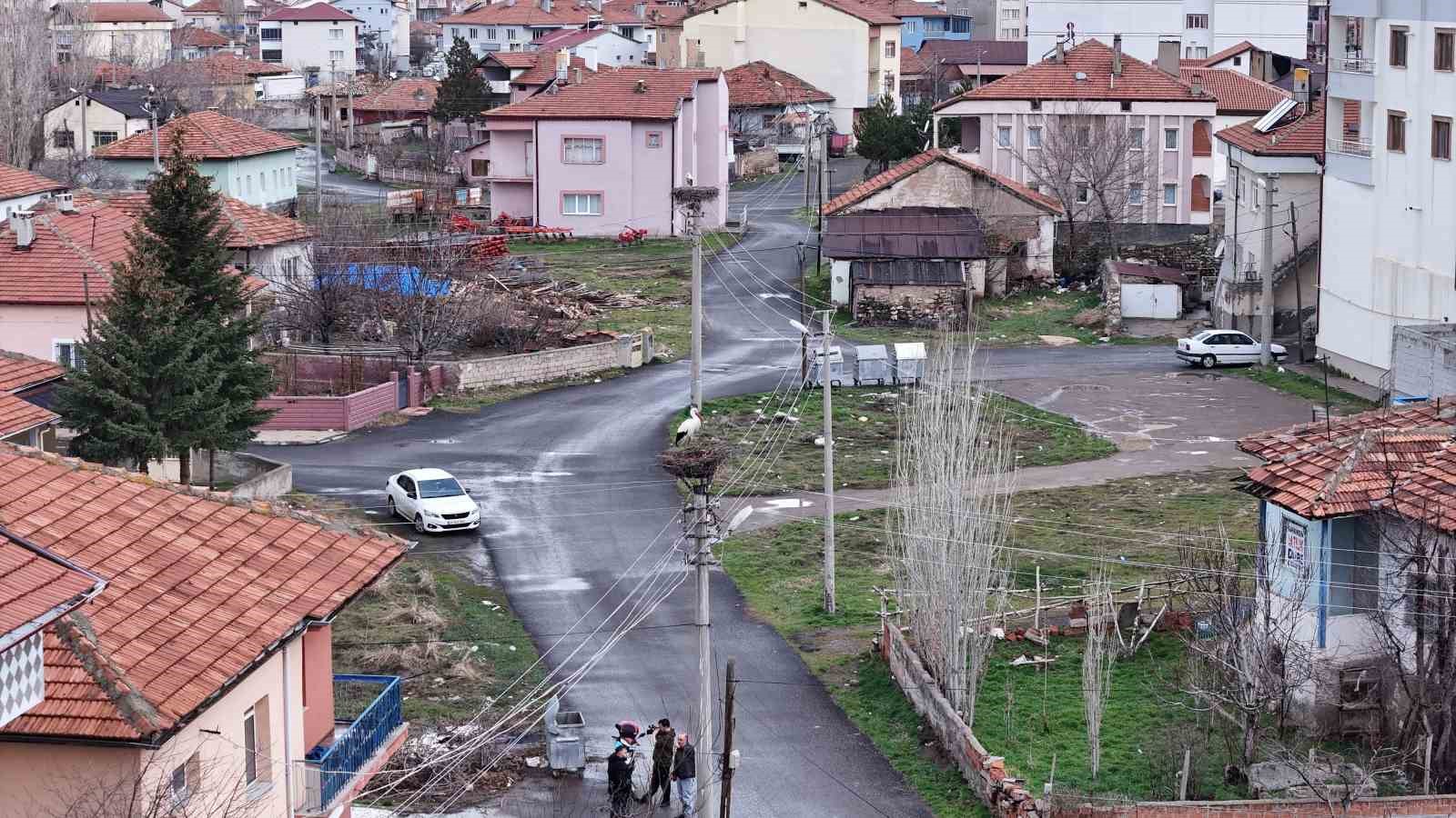 Şarkışla’da İlkbaharla Birlikte Leylekler Yeniden Yuvalarında