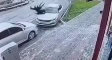 Şırnak İdil’de Trafik Kazası: İki Yaya Yaralandı