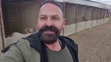 Sivas’ta Kayıp Kangal Köpeği, Sibirya Kurduyla Dostluk Kurdu