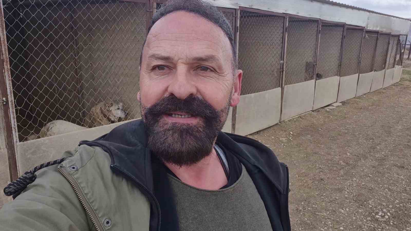 Sivas’ta Kayıp Kangal Köpeği, Sibirya Kurduyla Dostluk Kurdu