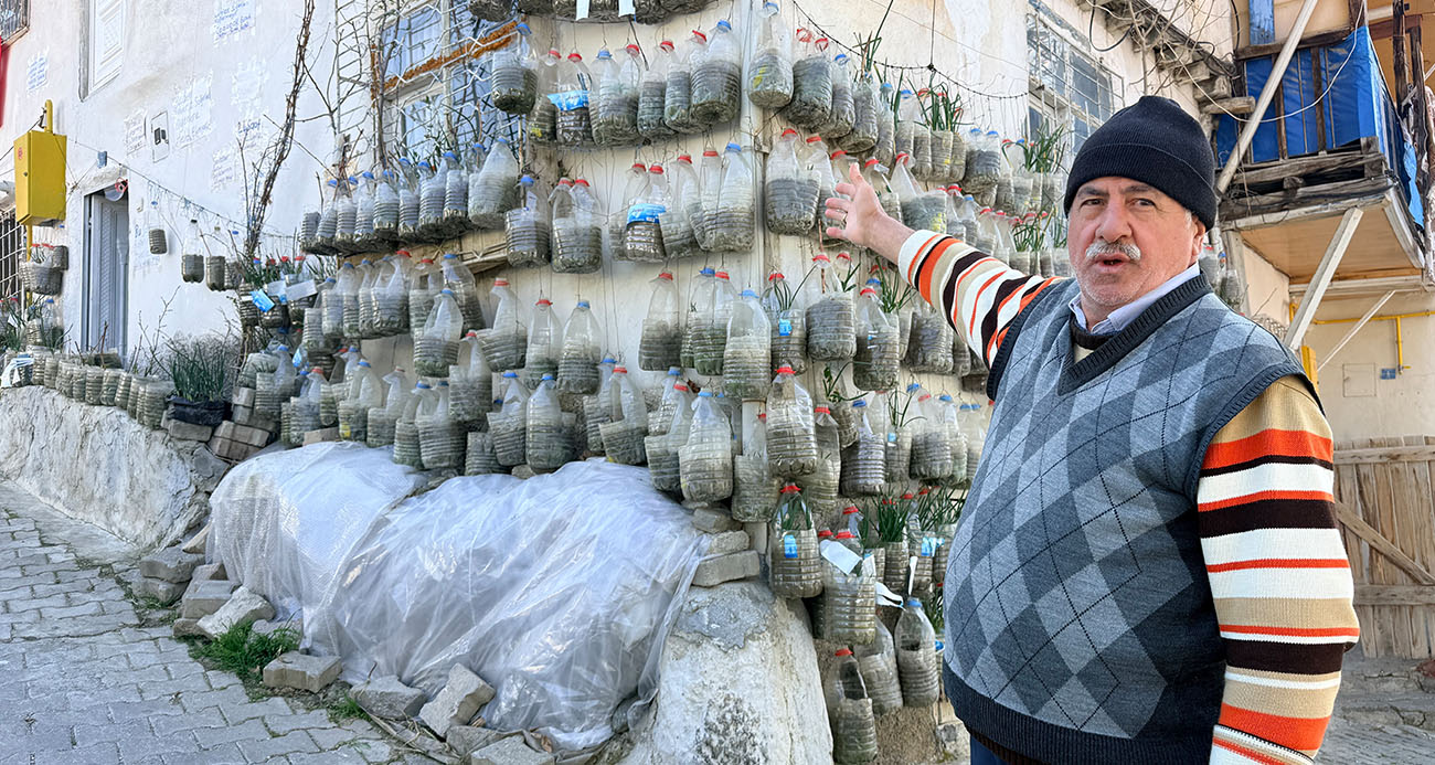 Tokat’ta Duvarlar Yeşile Büründü: Evinde Soğan Yetiştiren Yaratıcı Vatandaş