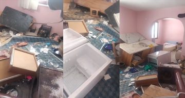 Trabzon’daki Yayla Evinde Ayı Dehşeti