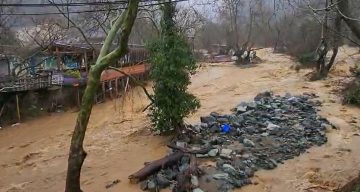 Yalova Çınarcık’ta Sağanak Nedeniyle Dereler Taştı, Hayvan Kayıpları Yaşandı