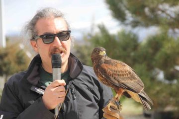 Zara’da Nevruz Coşkusu: Kurtlar ve Şahinlerle Dolu Bir Kutlama