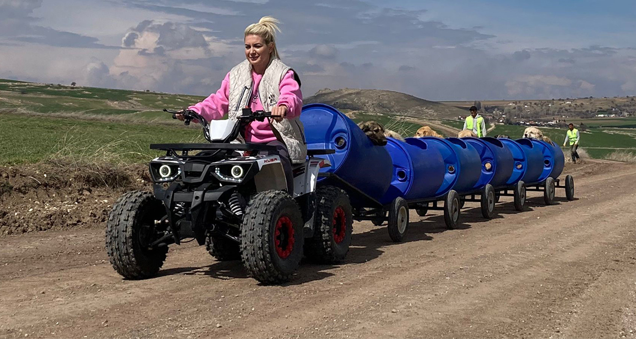 Ankara’da Hayvan Hakları Derneği Kira Borcu Nedeniyle Tahliye Ediliyor