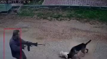 Antalya’da Sokak Köpeğine Açılan Ateş Sonucu Facia