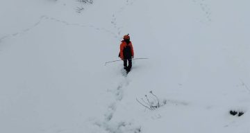 Artvin’de Çığ Felaketi Sonrası Arama Çalışmalarına Devam Edilemiyor