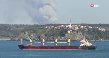 Beykoz’da orman yangını: Helikopterle havadan müdahale edildi