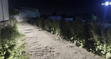 Bursa’da depoya kurşun yağmuru: Avukat hayatını kaybetti, kardeşi yaralandı