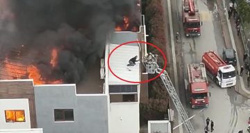 Bursa’da Yüksek Katlı Binada Yangın: İşçi Son Anda Kurtarıldı