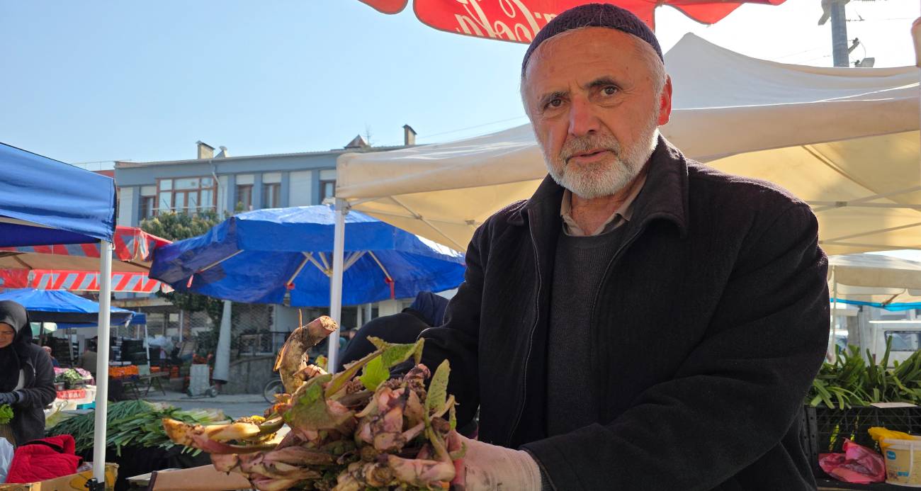 Düzce’nin Doğal Mucizesi Kaldirik Otunun Pazarlardaki Yeri Hazır