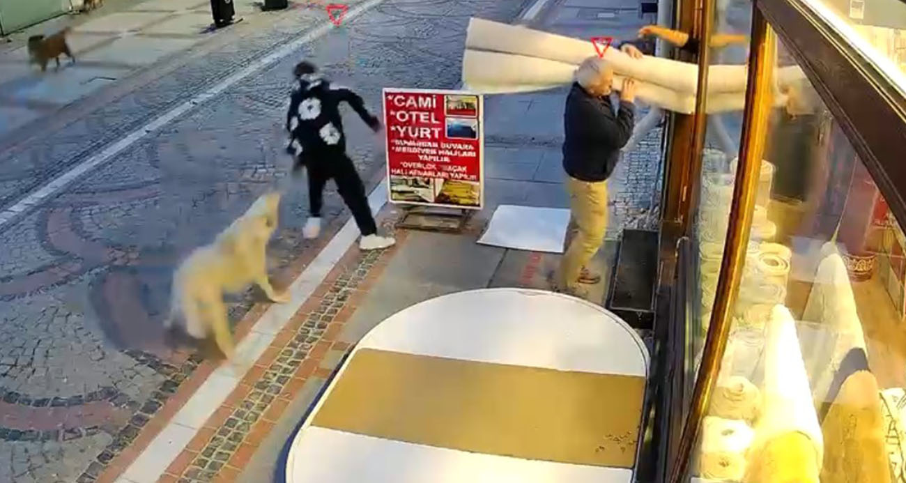 Edirne’de Sokak Köpeklerinin Tehlikeli Saldırısı: Genç Yaralandı