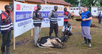 İhlas Vakfı, 2026 Yılı Kurban Hisselerinin Bedellerini Duyurdu