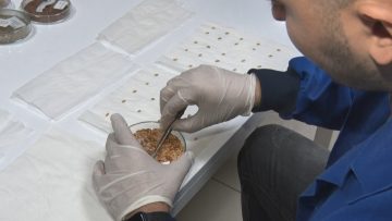 İran gerilimi sonrası gözler gıda güvenliğine çevrildi: Türkiye gen bankalarıyla hazırlıklı