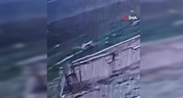 Köpek dehşetinin görüntüleri ortaya çıktı