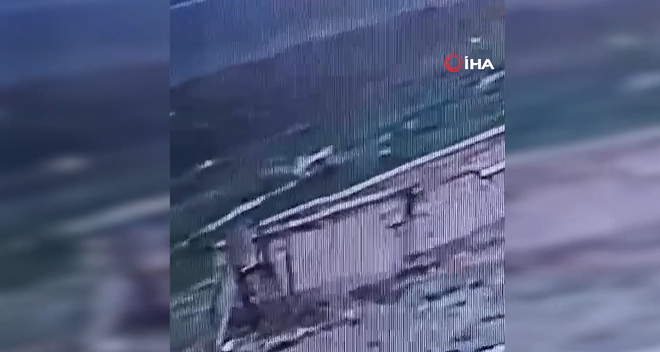 Köpek dehşetinin görüntüleri ortaya çıktı