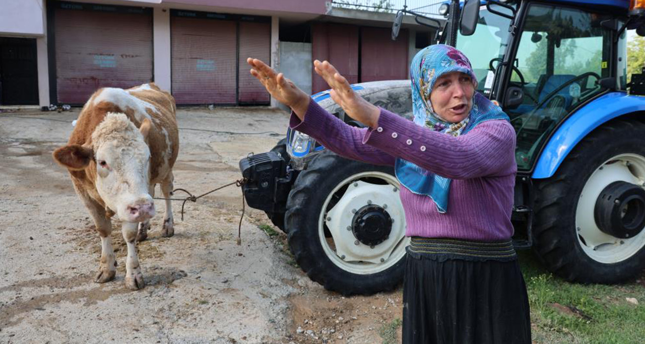 Kozan’daki selde hayvanları telef olan kadın: “Bir anda sel geldi, ahırın üstünü aştı”