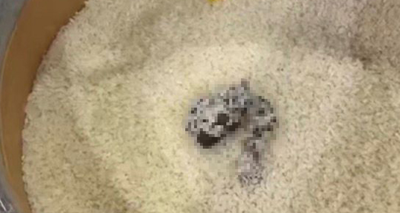 Mersin’de Market Skandalı: Açıkta Satılan Pirinçte Kedi Dışkısı Bulundu