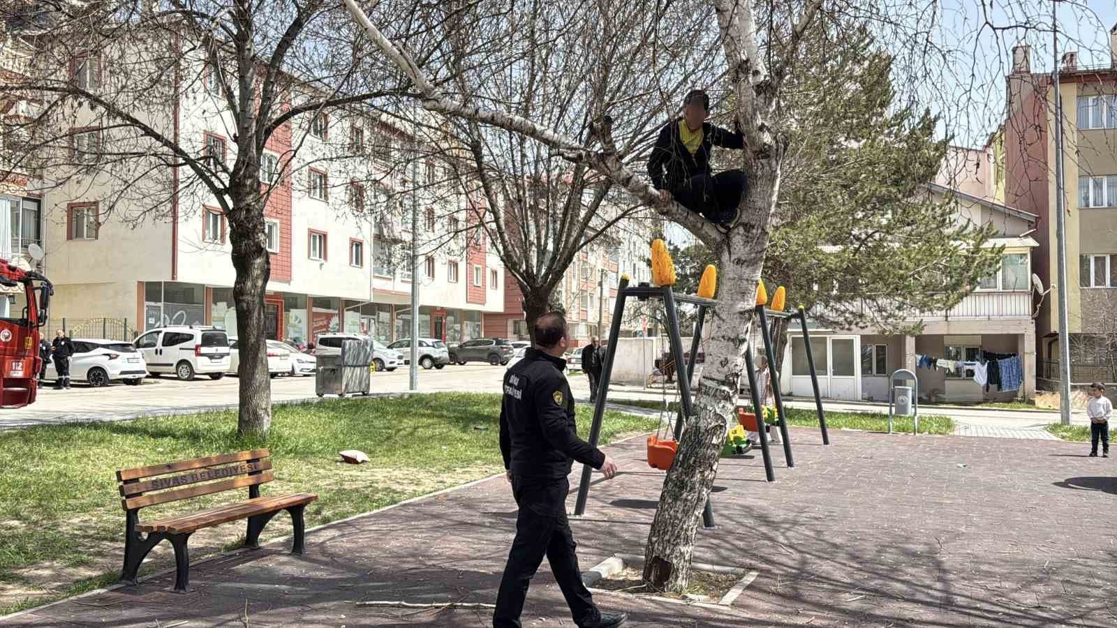 Sivas’ta Ağaçta Mahsur Kalan Çocuğu İtfaiye Kurtardı