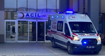 Van’da köpeklerin saldırdığı 5 yaşındaki çocuk hayatını kaybetti