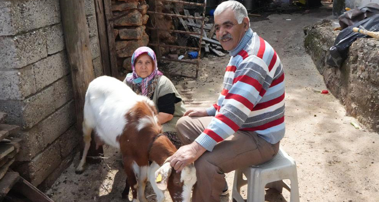 Yarım Asırlık Keçi Yetiştiriciliği Geleneği, Şikayet Sonucu Tehlikede