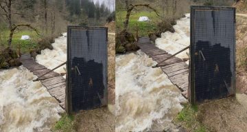 Böylesi ancak Karadeniz’de olur