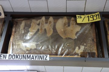 Görenler dönüp bir daha bakıyor, 35 yıllık bal çerçeveleri dikkat çekiyor