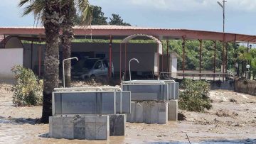 Hatay’da araçlar ve evler sular altında kaldı
