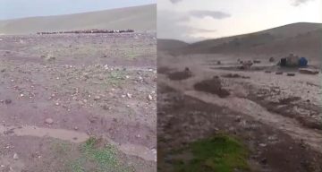 Iğdır’da sağanak ve dolu sonrası sel: Hayvanlar son anda kurtarıldı
