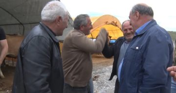 Kurban pazarlarında pazarlıklar kızıştı
