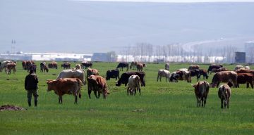Kurban satışlarında sosyal medya tuzağı