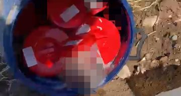 Mezarlıkta şok görüntü: Plastik kutularda 21 cenin bulundu